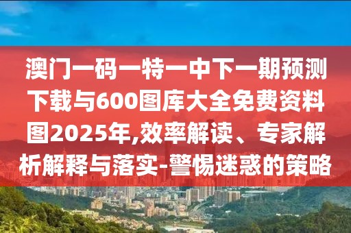 澳門(mén)一碼一特一中下一期預(yù)測(cè)下載與600圖庫(kù)大全免費(fèi)資料圖2025年,效率解讀、專家解析解釋與落實(shí)-警惕迷惑的策略